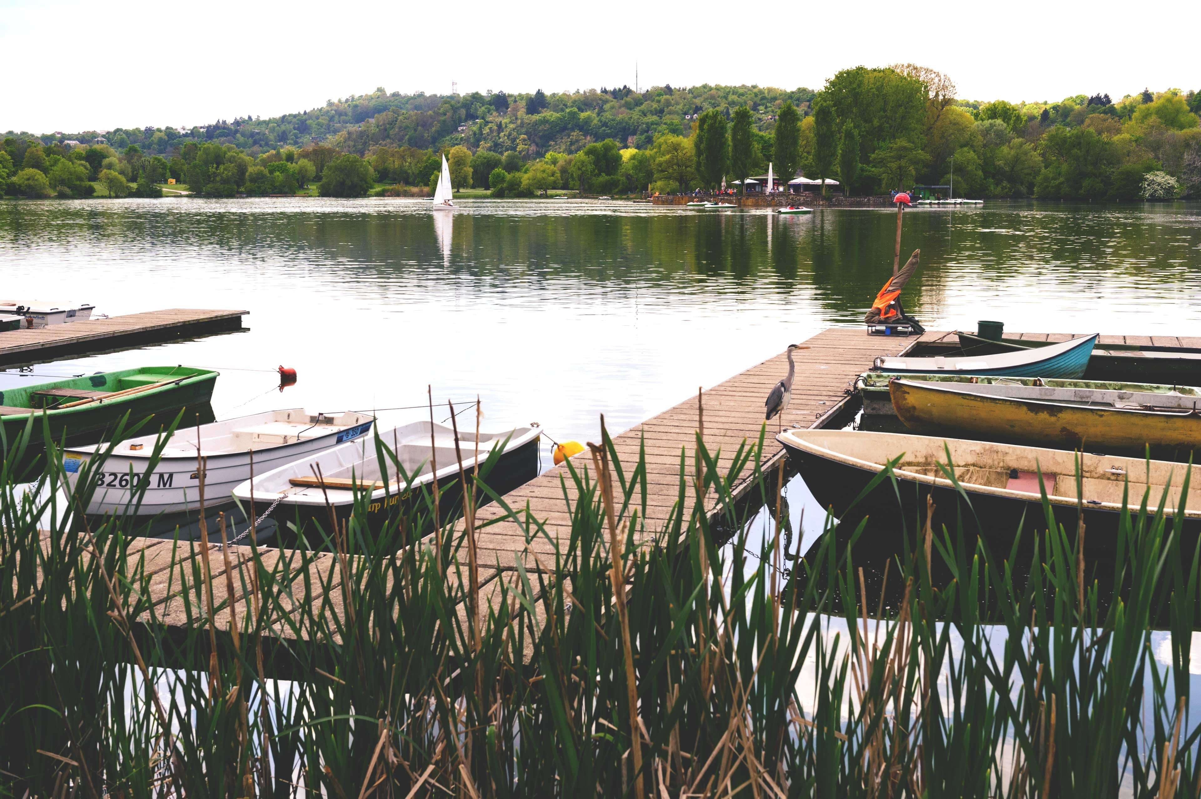 Ruderboote und ein Graureiher am Steg des Max-Eyth-Sees